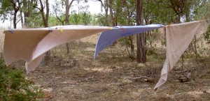 Pegs holding washing in a strong wind